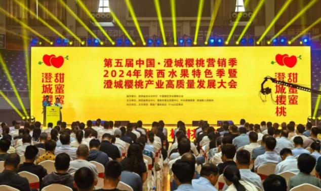 第五届中国·澄城樱桃营销季2024年陕西水果特色季启动