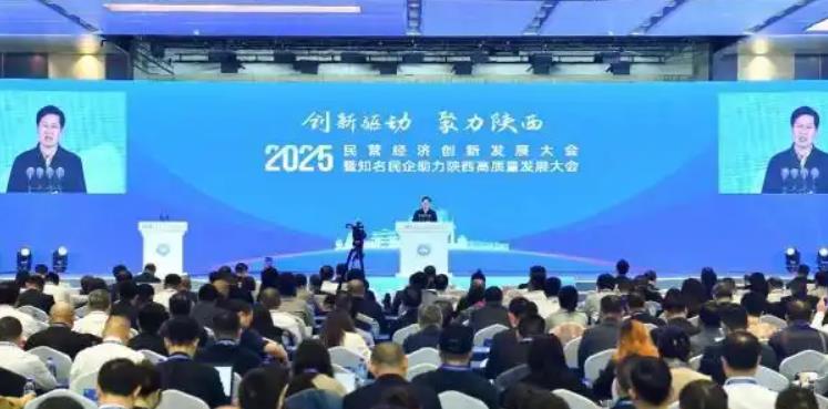 2025民营经济创新发展大会举行